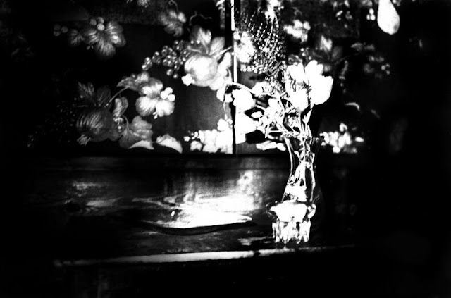 Laure Pubert Je marcherai sur tes traces chronique noir et blanc photographie