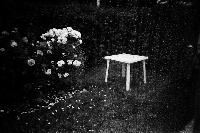 Guillaume Noury Terres Obsidiennes Livre photo Chronique
