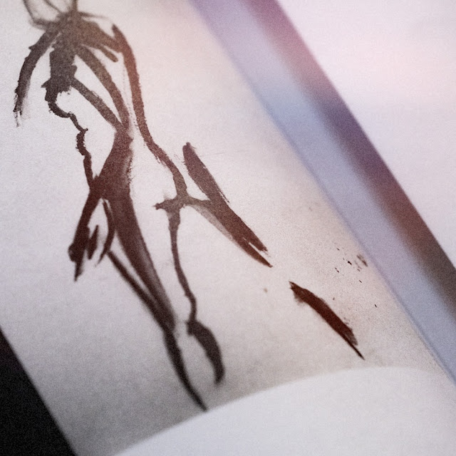Looking for my own Body Leblogue Bis éditions