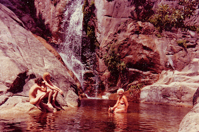 Tropical Stoemp n°2 Martin Parr Le mulet éditions