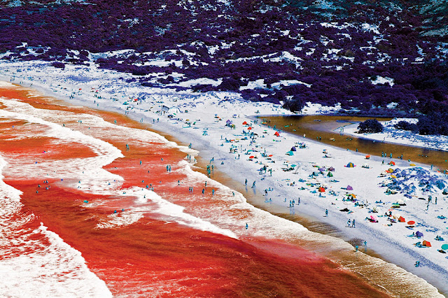 Tropical Stoemp n°2 Martin Parr Le mulet éditions