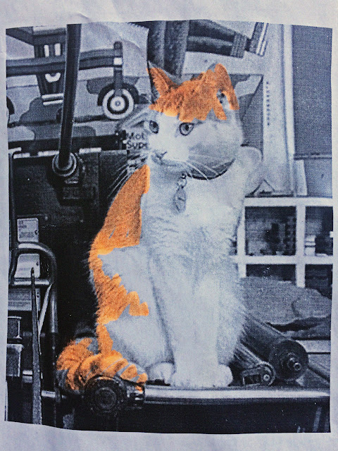 Félix The Saiz Félix éditions Le Mulet Chat