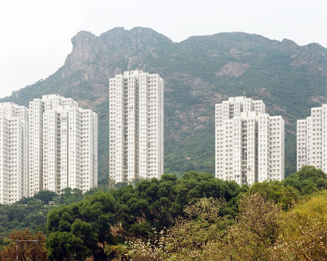 cohabitation ville nature