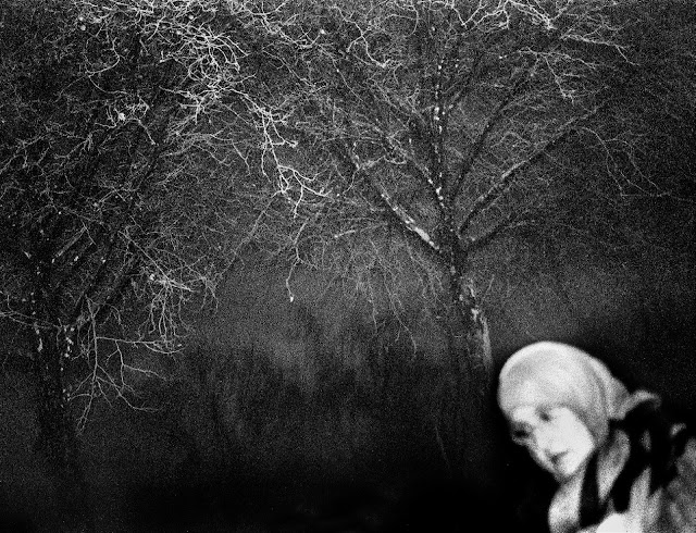 Ghost Town Tour Dogs Matthieu Van Assche
