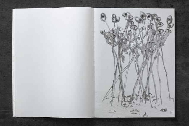 Marta Zgierska Mateusz Sarello Blow Up Press Garden