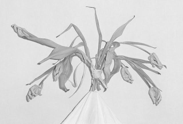 Marta Zgierska Mateusz Sarello Blow Up Press Garden