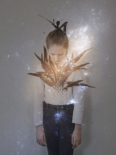 Lucie Pastureau, Éditions Hartpon, Luminescences