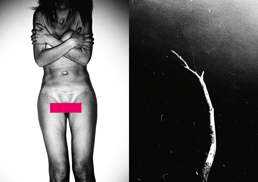 Fuck You, Jean-Marc Chapa, éditions Le Mulet, rock, punk, trash, sexe, avenir, cynique, humour, rose,,