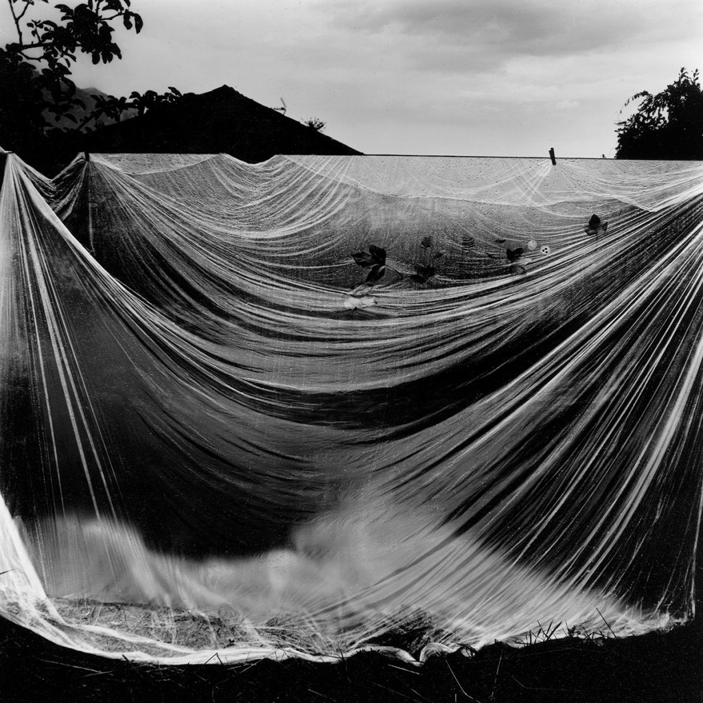 Hervé Baudat, dérives et navigations des étoiles, grand-mère, Corse, Alzheimer, Bergger éditions, humain, portrait, nuits, étoiles, humanité, Frédéric Martin, 5ruedu, blog, chronique livre photo, 