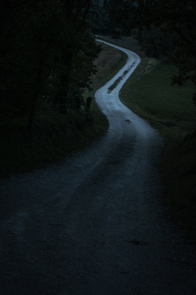 Francine Cathelain, Et je laisserai mes yeux voler, Escourbiac, éditions Odysée, nuit, perte, Fondation des Treilles, désarroi, errance, chat, noir, ombre,