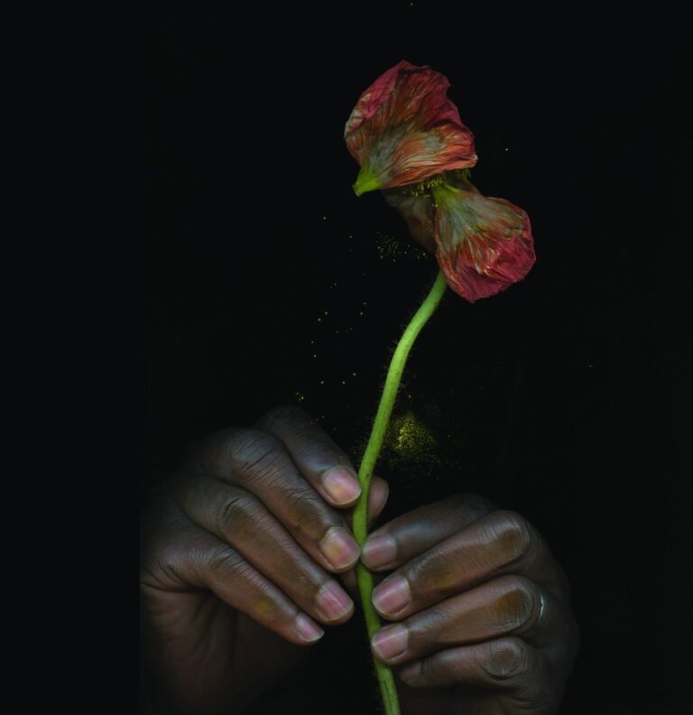 De printemps en printemps à Belsunce – Suzanne Hetzel