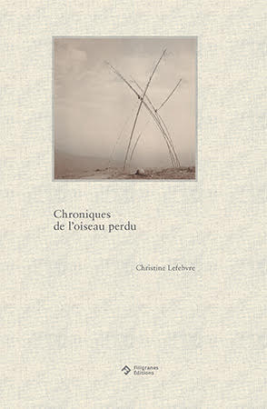 Christine Lefebvre, Chroniques de l'oiseau perdu, Filigranes éditions, galerie La Chambre claire, Douarnenez, oiseau, instant, méditation, beauté, poésie, mélancolie, monde, finitude, agitation, quiétude, Frédéric Martin, 5ruedu, chronique de livre photo, 