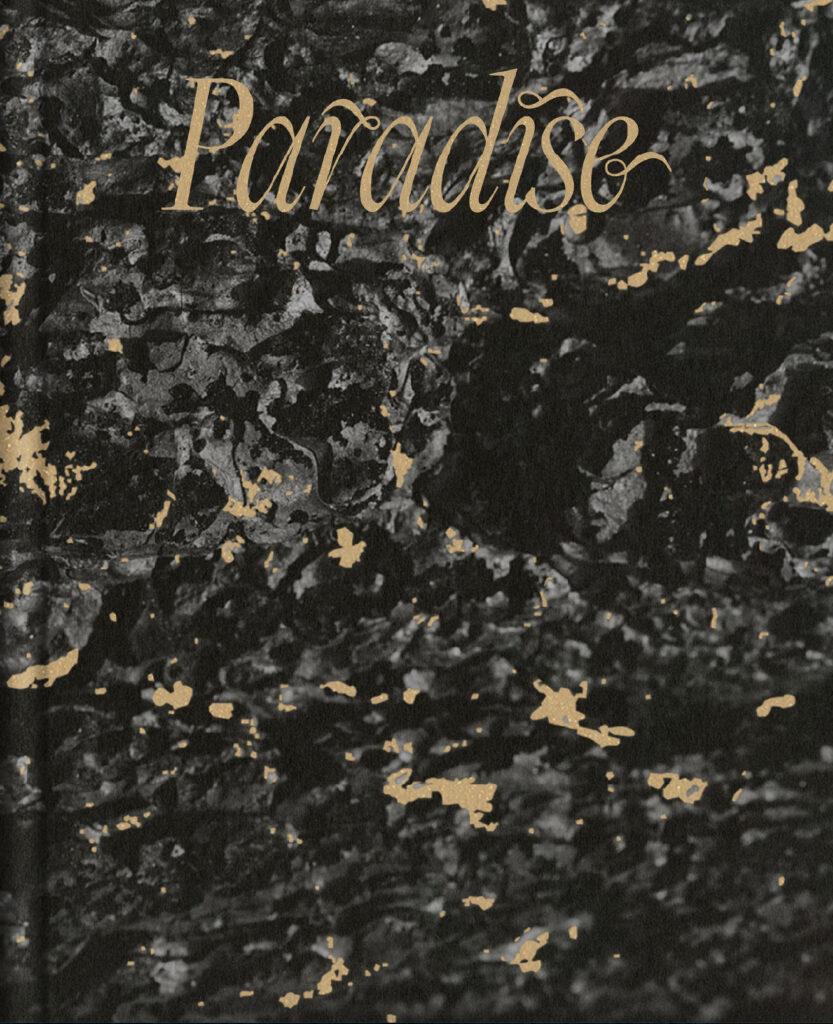 Maxime Riché, Paradise, André Frère Éditions, Feu, mégafeu, Californie, hubris, humain, mort, et après, chronique, livre photo, Frédéric Martin, 5ruedu, USA, demain, 