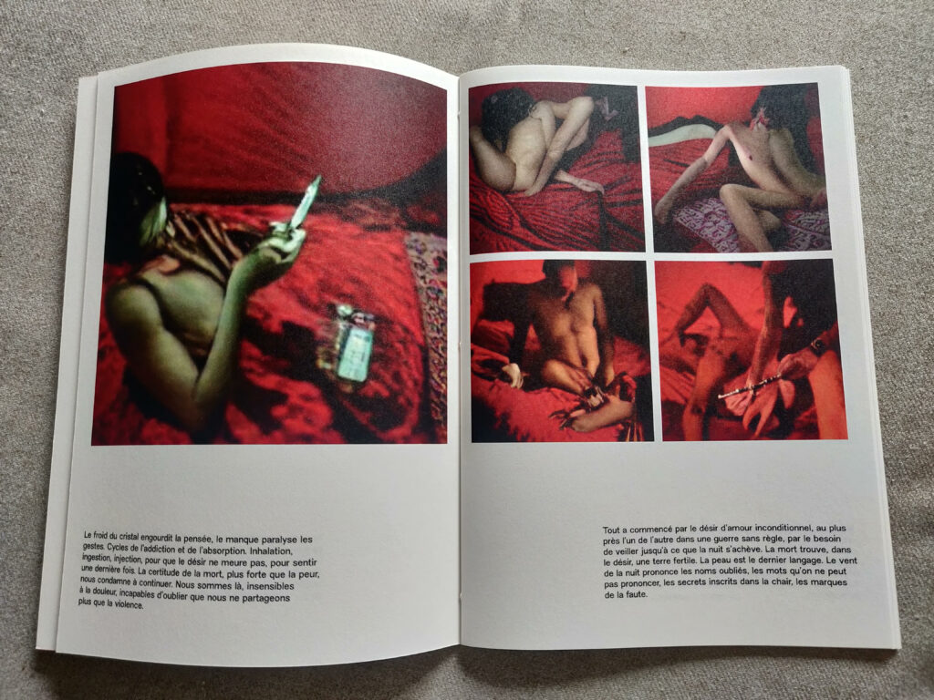 Antoine d'Agata, IA, Dumas et Salchli, photographie, chronique, livre photo, impasse, réalité, vérité, faux, drogue, défonce, Frédéric Martin, 5ruedu.fr, 