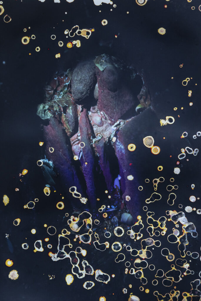 Alice Pallot, The Eyes, algues vertes, Véronique Prugnaud, pollution, mer, toxique, monde, rouge, photosynthèse, réchauffement climatique, demain, expérience, Frédéric Martin, 5ruedu, chronique, livre, photo, 