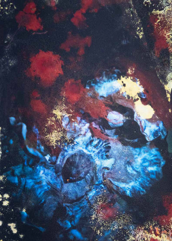 Alice Pallot, The Eyes, algues vertes, Véronique Prugnaud, pollution, mer, toxique, monde, rouge, photosynthèse, réchauffement climatique, demain, expérience, Frédéric Martin, 5ruedu, chronique, livre, photo, 