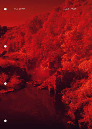 Alice Pallot, The Eyes, algues vertes, Véronique Prugnaud, pollution, mer, toxique, monde, rouge, photosynthèse, réchauffement climatique, demain, expérience, Frédéric Martin, 5ruedu, chronique, livre, photo, 