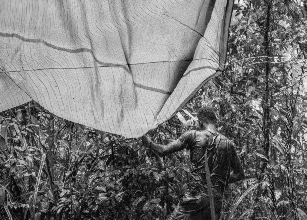 forêt, l'arbre machine, mue, peau, Sylvie Bonnot, éditions Loco, mutation, France, Guyane, forestage, changement, bouleversement, Frédéric Martin, 5ruedu, livre, photo, chronique, 