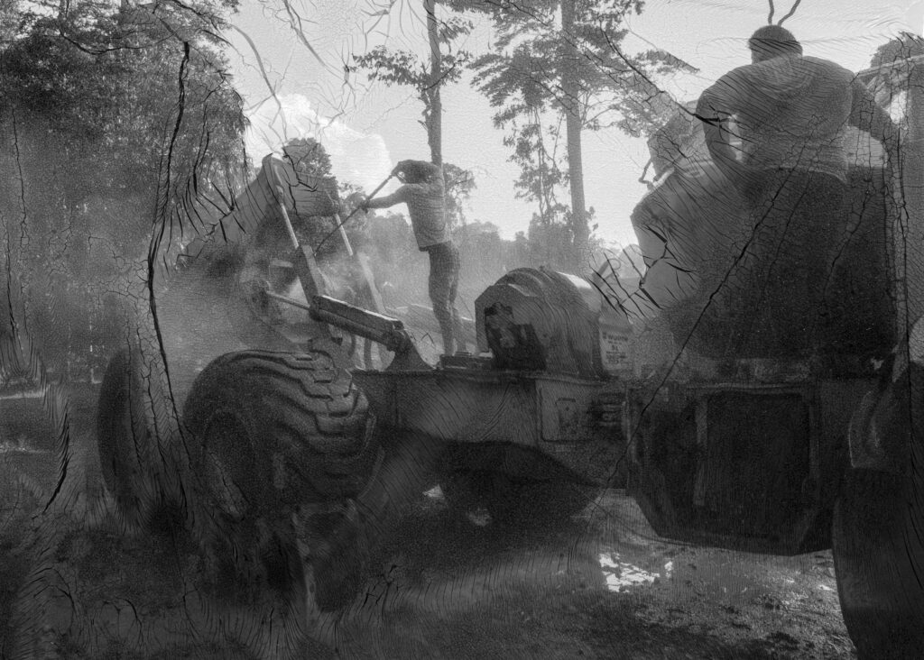 forêt, l'arbre machine, mue, peau, Sylvie Bonnot, éditions Loco, mutation, France, Guyane, forestage, changement, bouleversement, Frédéric Martin, 5ruedu, livre, photo, chronique, 