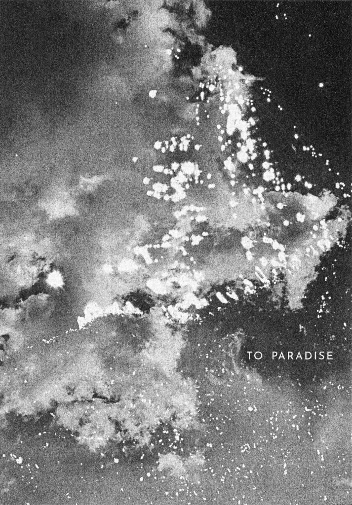 Melanie Schoeniger, To Paradise, fait-main, handmade, livre, photo, chronique, Paradis, Terre, palmier, plage, chaleur, douceur, uni, unité, relié, Frederic Martin, 5ruedu, 