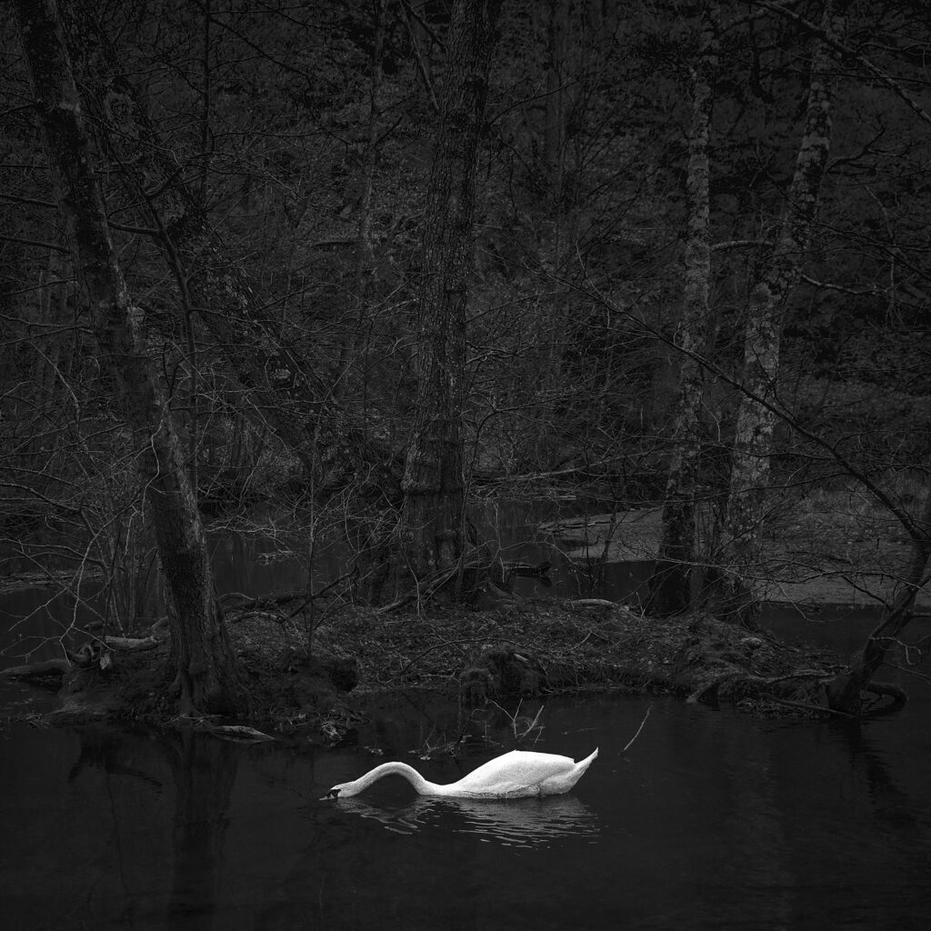 Fabrice Domenet, Voir les yeux fermés, Process Éditions, La peau du monde, délicatesse, monde, douceur, voir, être, vivre, unité, Frédéric Martin, 5ruedu, livre photo, chronique, 