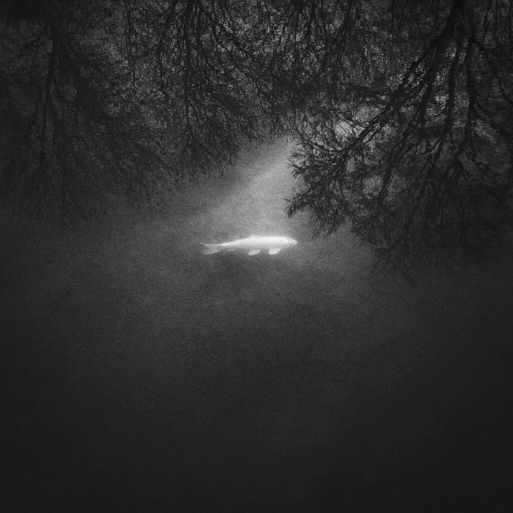 Fabrice Domenet, Voir les yeux fermés, Process Éditions, La peau du monde, délicatesse, monde, douceur, voir, être, vivre, unité, Frédéric Martin, 5ruedu, livre photo, chronique, 