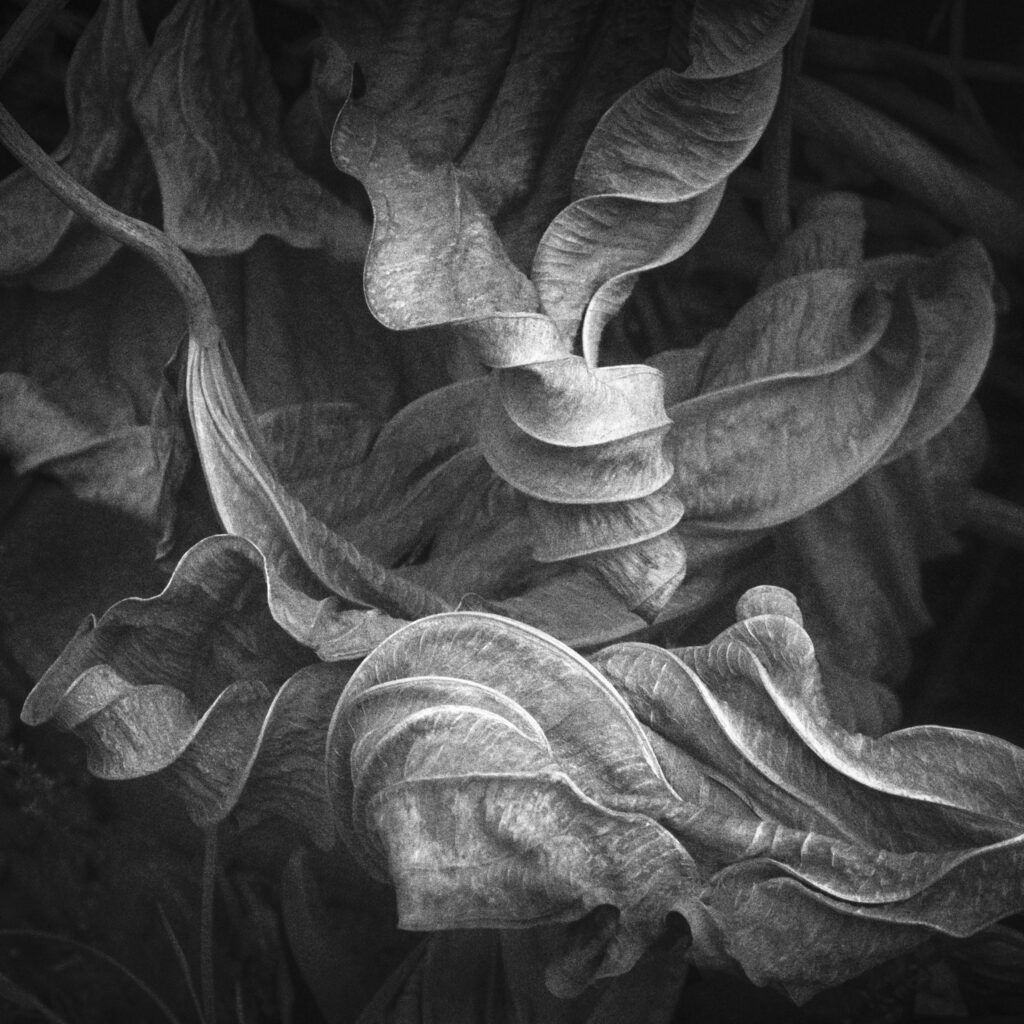 Fabrice Domenet, Voir les yeux fermés, Process Éditions, La peau du monde, délicatesse, monde, douceur, voir, être, vivre, unité, Frédéric Martin, 5ruedu, livre photo, chronique, 