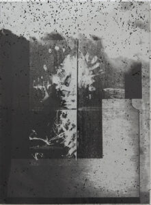 One millimeter of black dirt and a veil of dead cows – Vincent Jendly