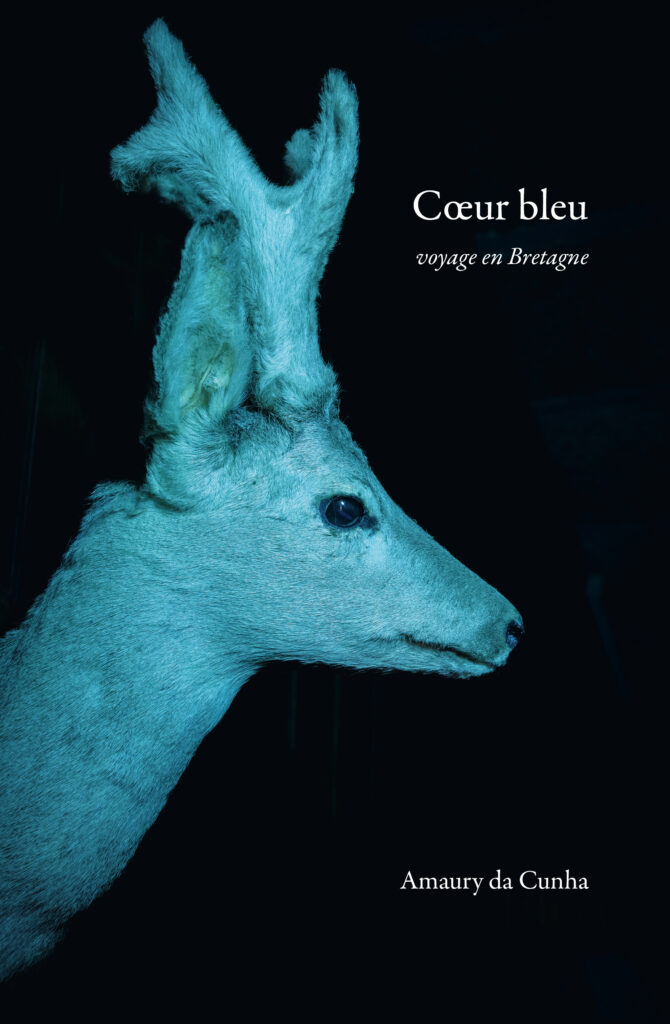 Coeur bleu, Bretagne, Filigranes éditions, Amaury da Cunha, château, enfance, résidence, retour, mémoire, passé, voyage, intérieur, chronique, livre photo, 5ruedu, Frédéric Martin,