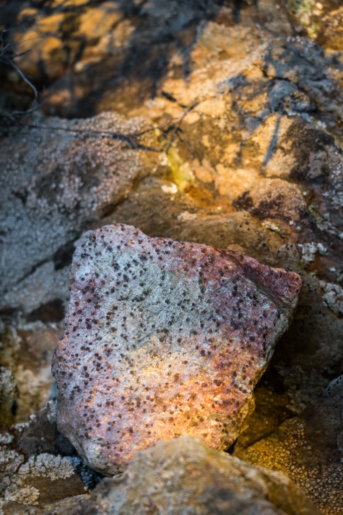 Rachele Casetta, Arnaud Bizalion Editeur, Méandres d'une île, Port-Cros, Méditerranée, territoire, beauté, poésie, rêverie, roc, roche, temps, chronique, livre photo, 5ruedu, Frédéric Martin,