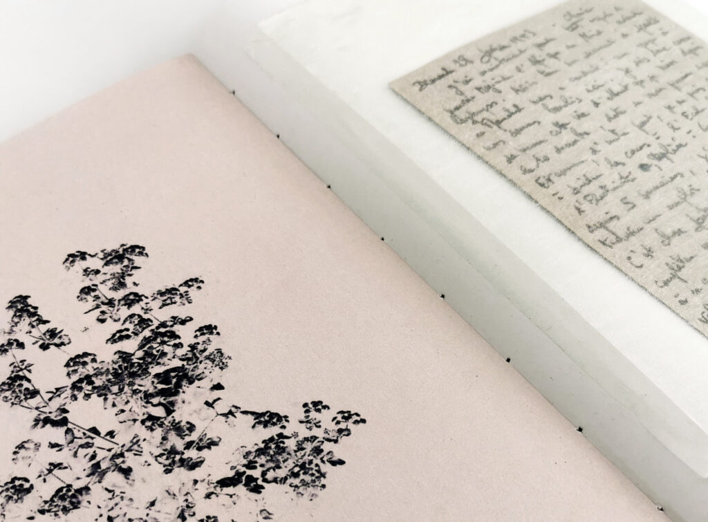 Gilles Mercier, grand-père, résistant, deuxième guerre mondiale, L'élégance de vos absences, livre de photographie, chronique, 5ruedu, Frédéric Martin, mémoire, Vichy, nazisme,