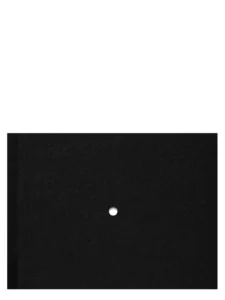 Once a year the stick shoots – Nastasiia Leliuk / Natalia Wiernik