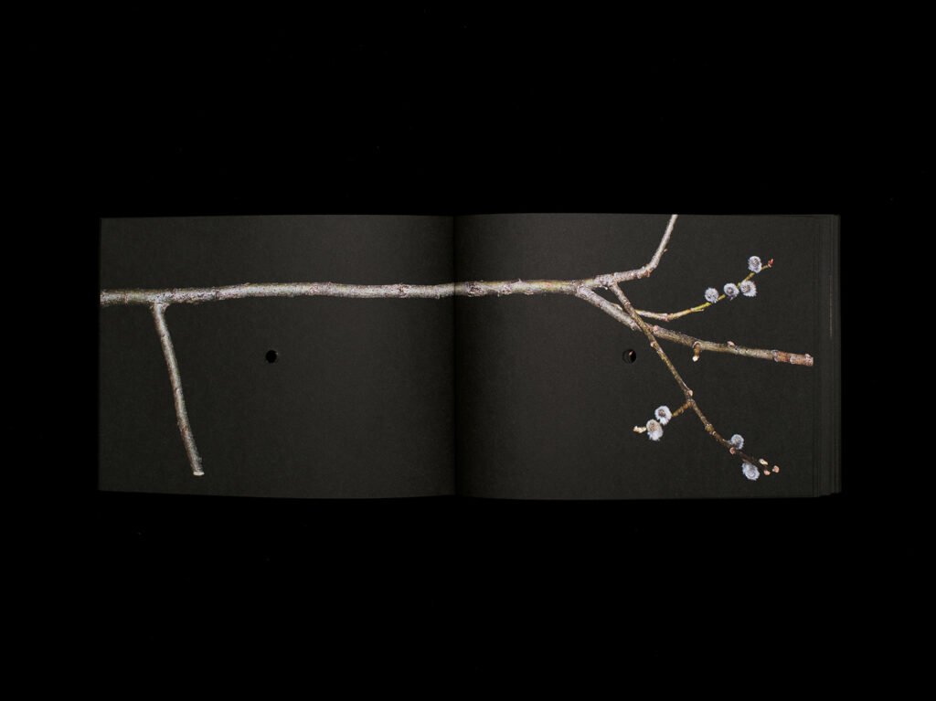 Once a year the stick shoots, Blow Up Press, Nastasiia Leliuk, Natalia Wiernik, guerre, jeu, enfance, Ukraine, arme, branche, nature, patriarcat, violence, règle, chronique, livre, photo, 5ruedu, Frédéric Martin, 