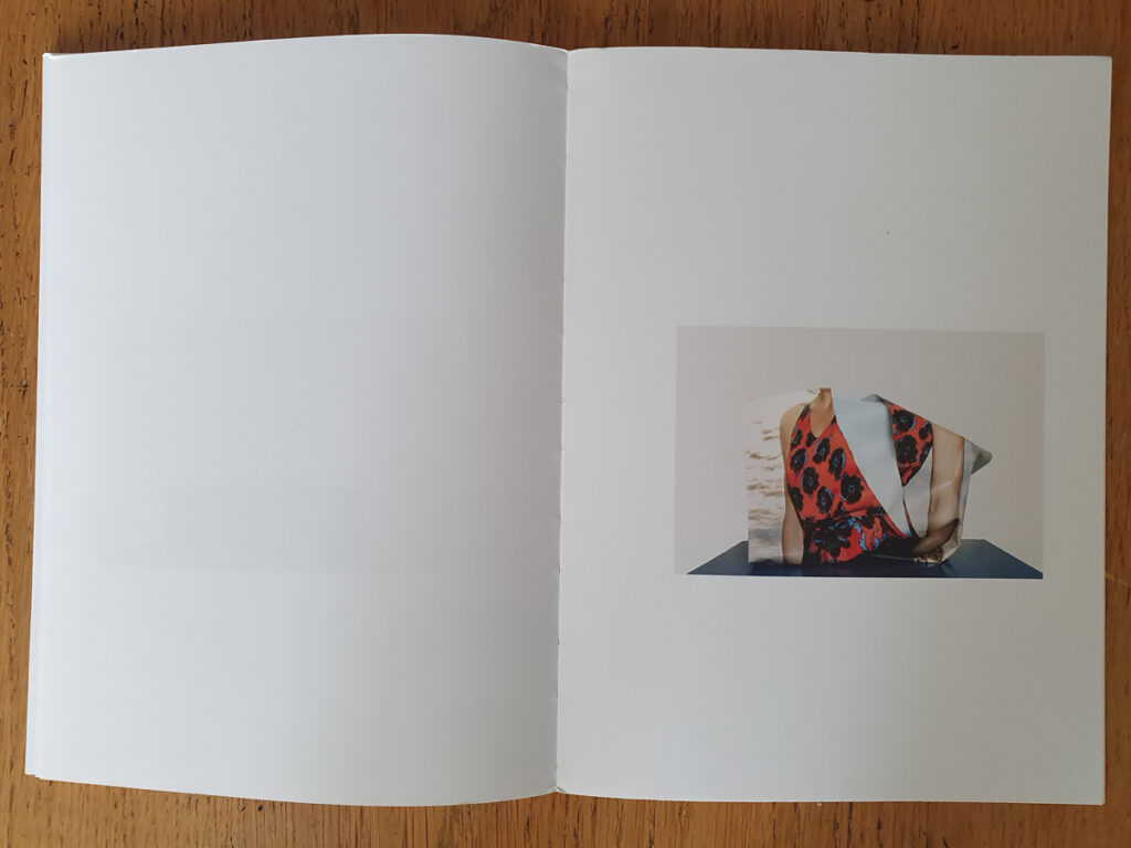 occasions, André Mérian, La fabrique du signe, objet, vie, seconde, nature morte, collecte, rebut, poubelle, vanité, Frédéric Martin, 5ruedu, livre, photographie, chronique,