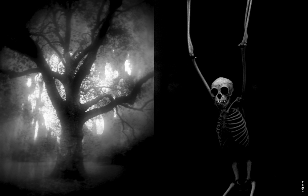 Le Mulet, Tropical Stoemp 5, mort, vie, Danse Macabre, squelette, vanité, illusion, bien-être, vieillir, Frédéric Martin, 5ruedu, chronique, livre, photographie,