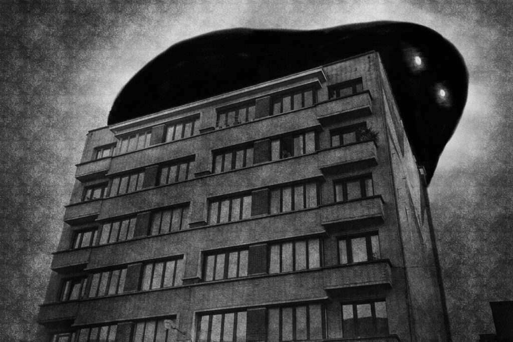 Mathieu Van Assche, BRRRXL, éditions Le Mulet, chronique, livre, photographie, Frédéric Martin, 5ruedu, Belgique, Bruxelles, monstre, fantômes, enfance, peur, effroi,