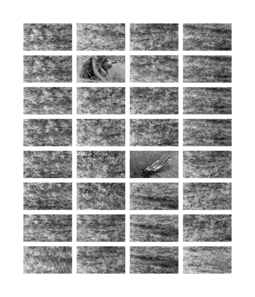 Stéphane Charpentier, Damien Daufresne, Editions Emulsion, éditions Le mulet, Mer, terre, voyages, enfance, désert, Trois mers et quatre terres, poésie, onirique, ville, fuir, grandir, 5ruedu, Frédéric Martin, chronique, livre, photographie, 