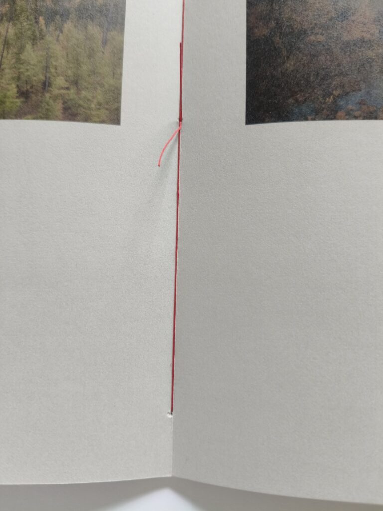 Magistrale Baïkal Amour, Agnès Courrault, Dumas Salchi éditions, Rusie, URSS, Baïkal, voyage, poésie, tristesse, Sylvie Durbec, camp, Staline, déportés, souvenirs, mémoire, lieu, taïga, toundra, steppe, chronique, livre, photo, 5ruedu, Frédéric Martin, 