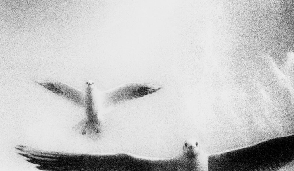 Stéphane Charpentier, Damien Daufresne, Editions Emulsion, éditions Le mulet, Mer, terre, voyages, enfance, désert, Trois mers et quatre terres, poésie, onirique, ville, fuir, grandir, 5ruedu, Frédéric Martin, chronique, livre, photographie, 