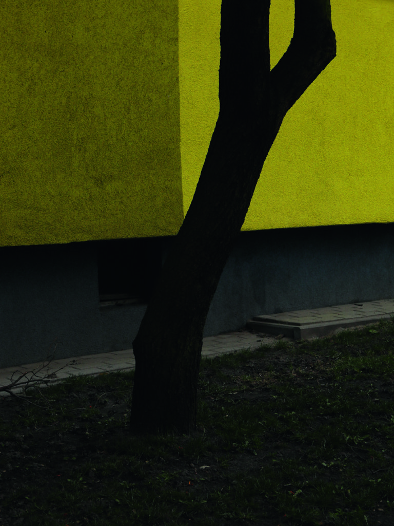  Fabien Ribéry, Nolwenn Brod, le temps de l'immaturité, éditions lamaindonne, Witold Gombrowitcz, gueule, autre, regard, représentation, photographie, invention, corps, détails, chronique, livre, Frédéric Martin, 5ruedu, 