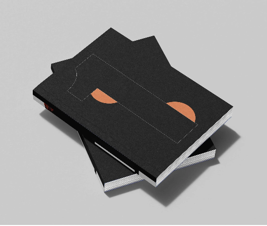 revue Why not, cadavre exquis, littérature, surréalisme, photographie, écho, chronique, Frédéric Martin, 5ruedu,