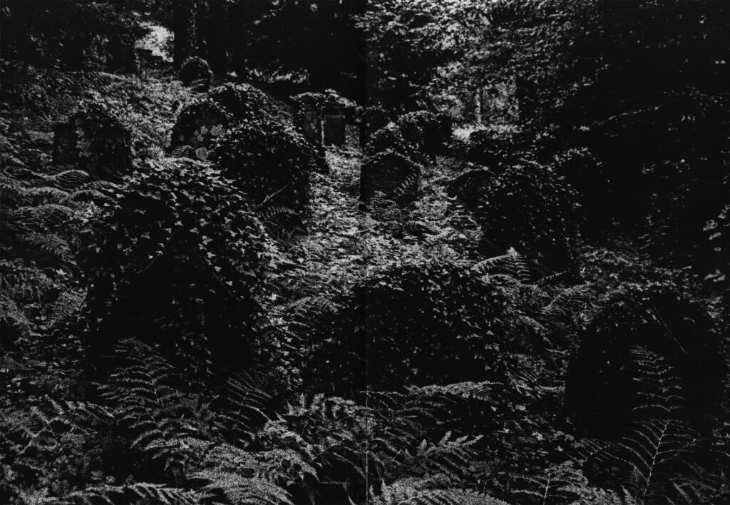 André Chabot, Collectionner les tombes, Lia Pradal, éditions Païen, cimetière, mémoire, art funéraire, beauté, tombes, sépultures, chronique, livre, photographie, 5ruedu, Frédéric Martin,