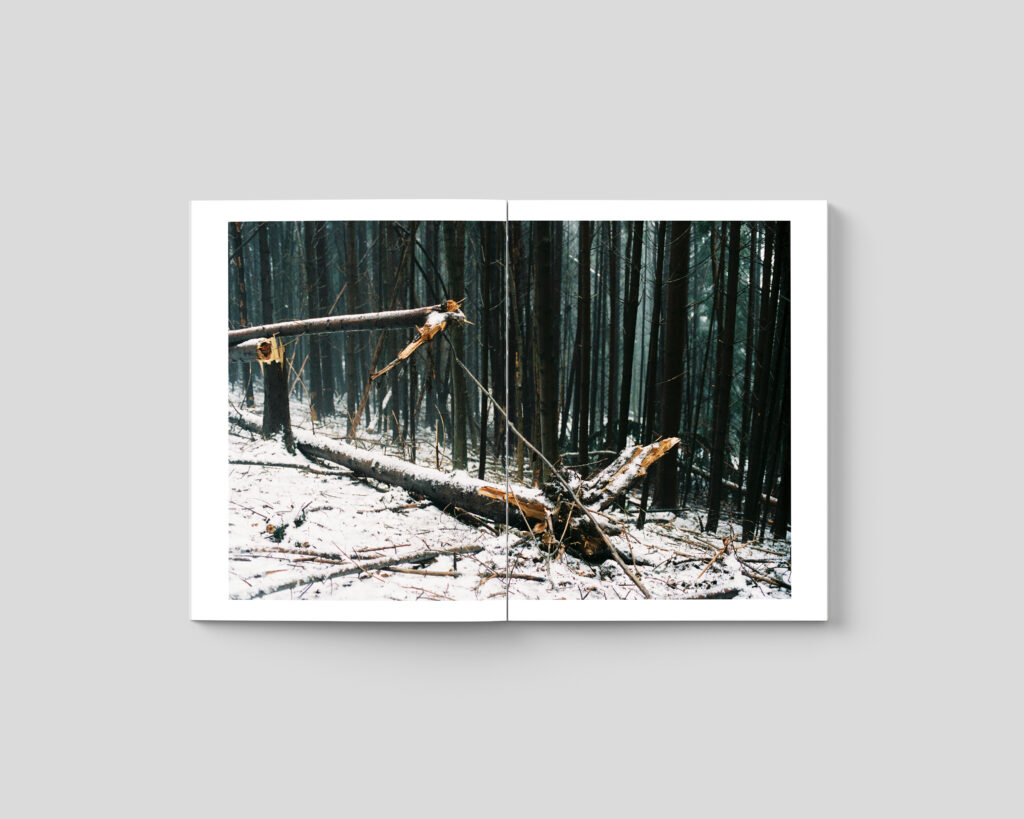 Vanessa Kuzay, éditions révolues, Après les cigognes, enfance, maternité, espoir, Pologne, voyage, Grand-mère, mère, rencontre, difficulté, Frédéric Martin, 5ruedu, chronique, livre, photographie,