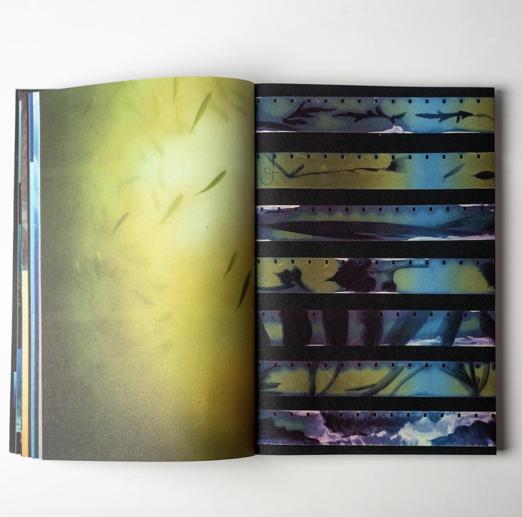 Aurélie Darbouret,
Camilo Leon Quijano,
Petna Ndaliko Katondolo,
Daniela Rodrigues,
Jeff Silva,
Laurent Van Lancker, Sun/sun, ethnographie, Strata, couche, humain, non-humain, phénomène, chronique, livre, photographie, 5ruedu, Frédéric Martin, 