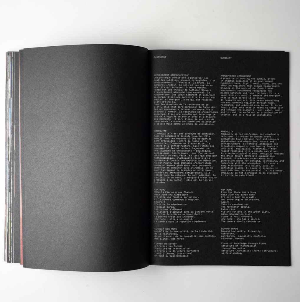 Aurélie Darbouret,
Camilo Leon Quijano,
Petna Ndaliko Katondolo,
Daniela Rodrigues,
Jeff Silva,
Laurent Van Lancker, Sun/sun, ethnographie, Strata, couche, humain, non-humain, phénomène, chronique, livre, photographie, 5ruedu, Frédéric Martin, 
Laurent Van Lancker