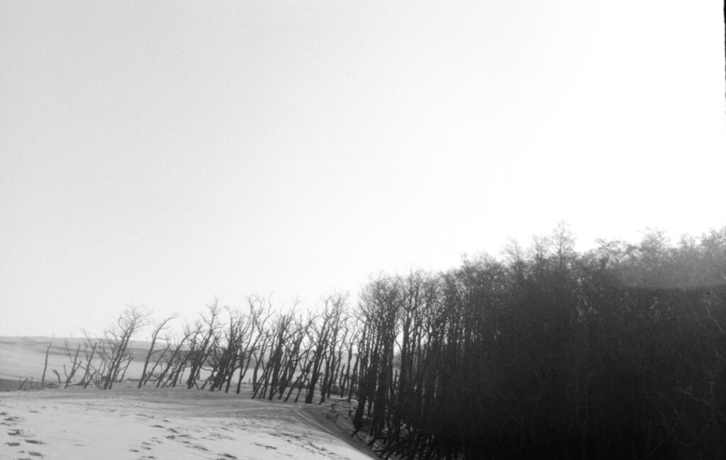  Susann Carmen Jagodzińska, Cé éditions, enfance, Je, impermanence, Echos of Photons, lumière, souvenirs, dérives, chronique, livre photo, Frédéric Martin, 5ruedu, 