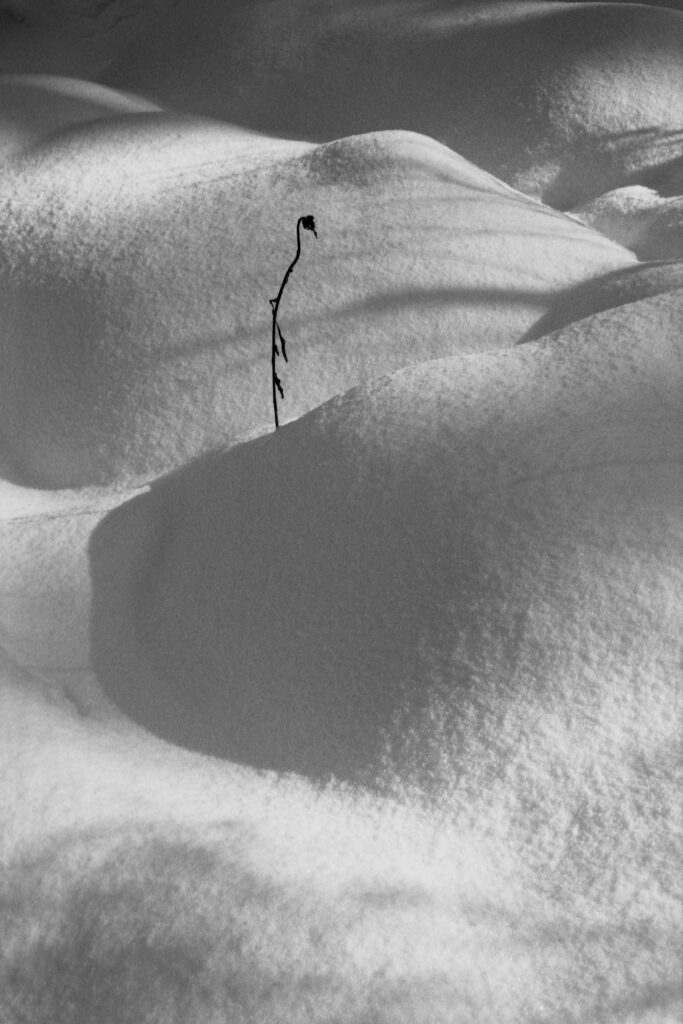 Thomas Gauthier, EYD, Caroline de greef, Kootenays, ermite, Walden, autarcie, Canada, neige, sobriété, heureux, Frédéric Martin, chronique, 5ruedu, livre, photographie, 