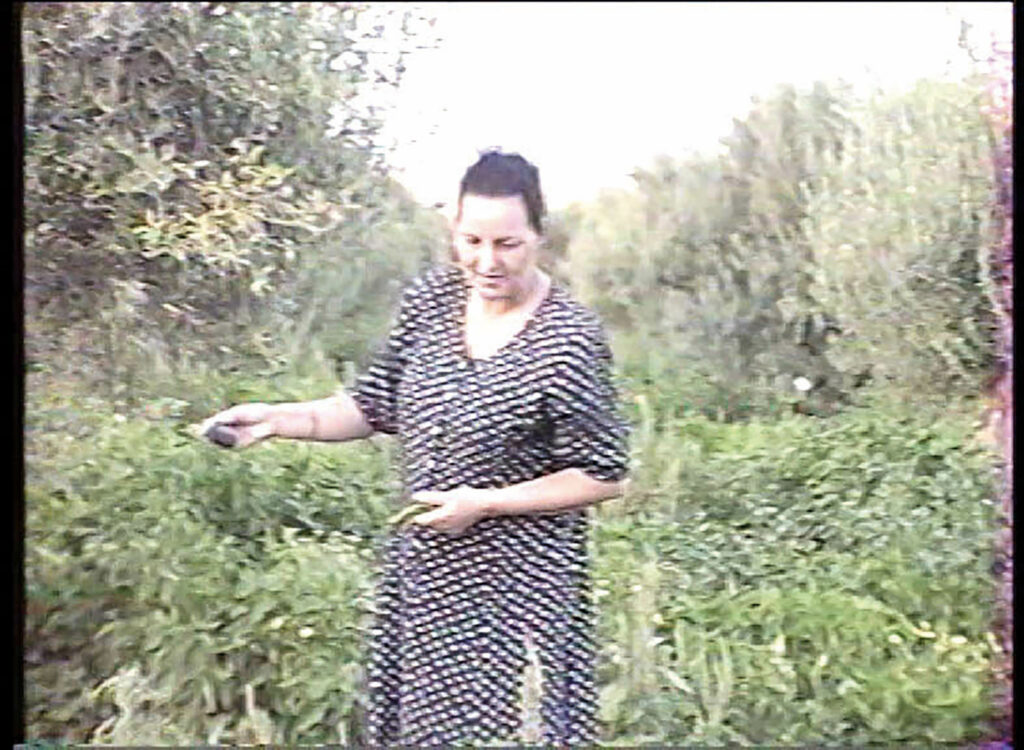 Sirine Majdi-Vichot, Le Nom du pays, Tunisie, chronique, livre, photographie, 5ruedu, mémoire, famille, exil, père, retour, Frédéric Martin,