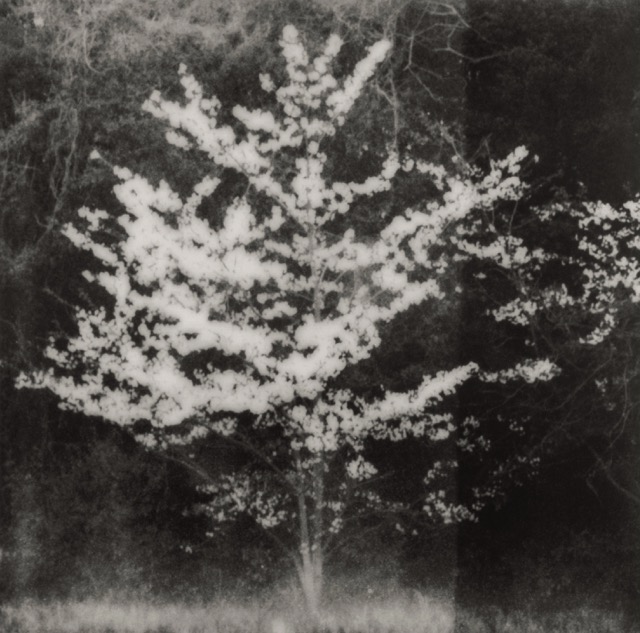 Thomas Dhellemmes, Galerie Polka, Filigranes Editions, Pierres Blanches, bonheur, mémoire, souvenir, polaroid, chronique, livre, photographie, Frédéric Martin, 5ruedu,