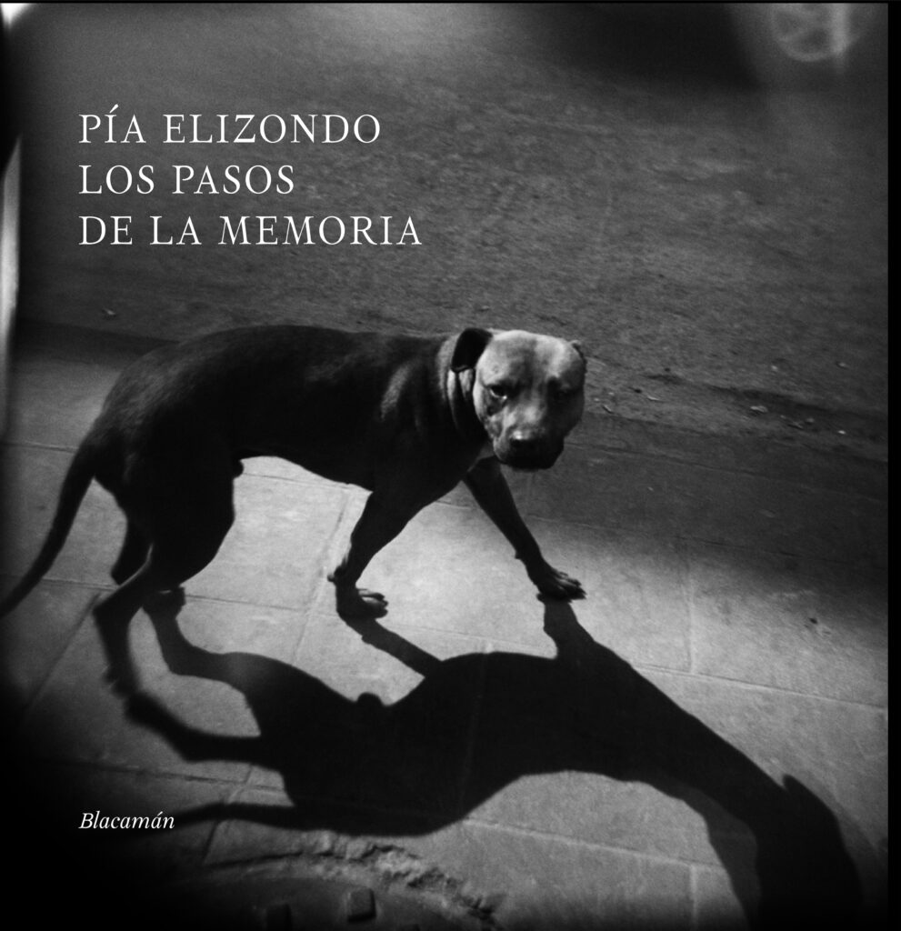 Pía Elizondo, Los Pasos de la Memoria, Agence Vu', Mexico, mémoire, enfance, étrangeté, inquiétude, déambulation, retour, Frédéric Martin, 5ruedu, chronique, livre, photographie,